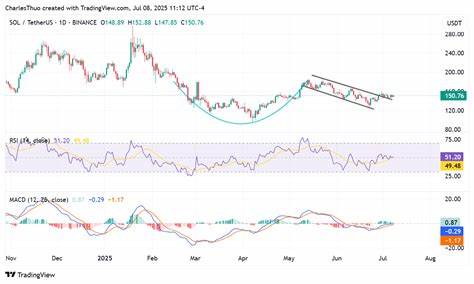 Solana price jumps 45% as network activity soars: can SOL breach $160?