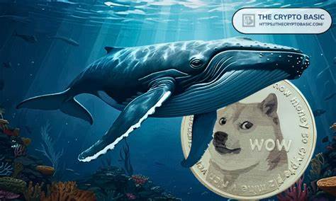 Whales Bought the XRP Dip While DOGE Hits Key Accumulation Zone: Details