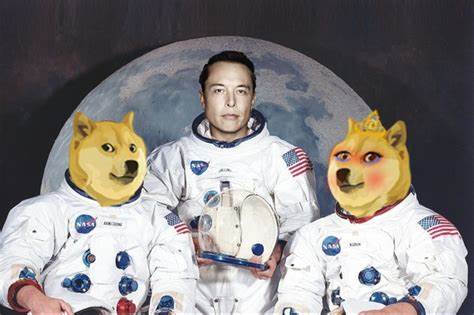 What is the Wifedoge? Meet the cryptocurrency 'wife' of Dogecoin that grew more than 3,000% in one day and Elon Musk already 'liked' it - Beaumont Enterprise