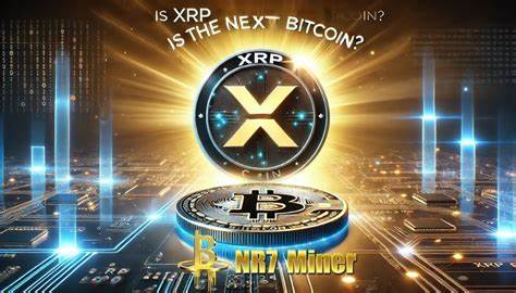 Earn Millions of Cryptocurrency with Ease and Stability - BTC Miner Helps You Overcome XRP Market Volatility