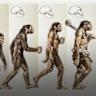 Early human ancestors showed extreme size differences between males and females