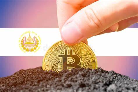 El Salvador launches Bitcoin training for 80,000 public servants - CryptoSlate