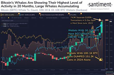 Bitcoin whales hit 20 month peak in activity as BTC price ... - FXStreet