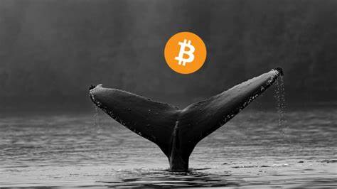 Multibillion-dollar HODL: Bitcoin whales awaken after 14 years 