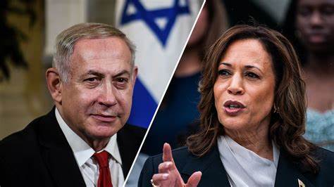 The Left Didn’t Sink Kamala Harris. Here's What Did. - The Nation
