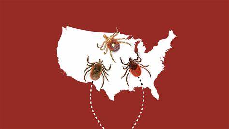 Explosive increase of ticks that cause meat allergy in US due to climate crisis