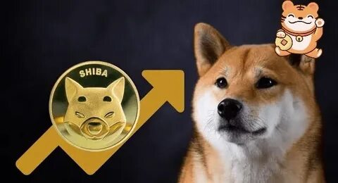 Here’s How Much Shiba Inu You Need to Make $50K, $100K, $500K, $1M if SHIB Rises 10x, 50x or 100x - The Crypto Basic