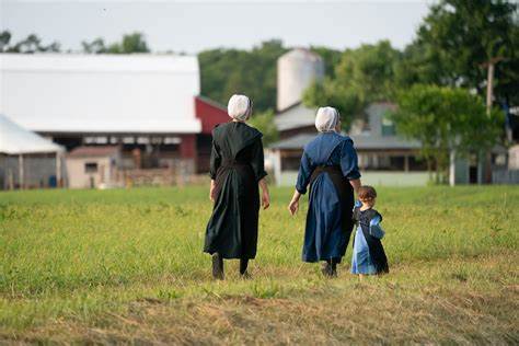 Amish Kids Almost Never Get Allergies and Scientists Know Why