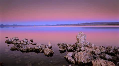 'arsenic life' paper retracted by journal Science 15 years after publication