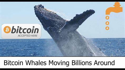 Whales Make A Splash In Rollblock Presale Amid Bitcoin & Solana Woes - CoinChapter