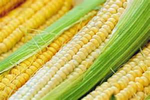 A Thursday Fade?  Corn Fractionally Lower at Midday After Wednesday Rally