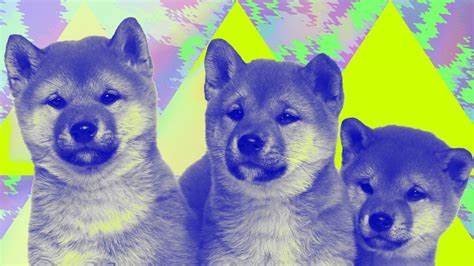 What is Shiba Inu and how does it work? A beginner's guide to SHIB - The Block