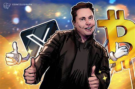 Elon Musk scoops up licenses for crypto payments — but experts say don’t hold your breath - dlnews.com