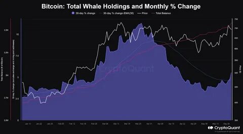 Bitcoin Whales Return in Force, Buy the BTC Price Rally, On-Chain Data Show