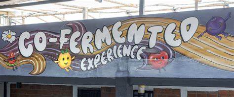 Into the co-ferment kingdom: A trip to Finca Monteblanco