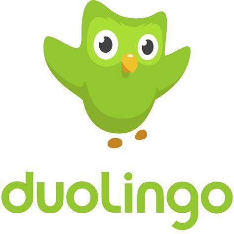 Duolingo’s CEO says he’d rather be understaffed than hire someone lacking his golden rule