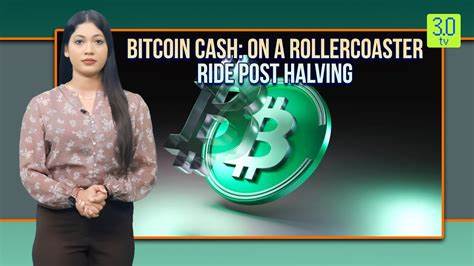 Bitcoin Cash Price Up 11% Following Post-Halving Rollercoaster Ride - Decrypt