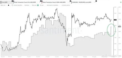 Crypto Whales Rally Behind Ripple’s XRP, Scoop $20 Million Coins In 24 Hours