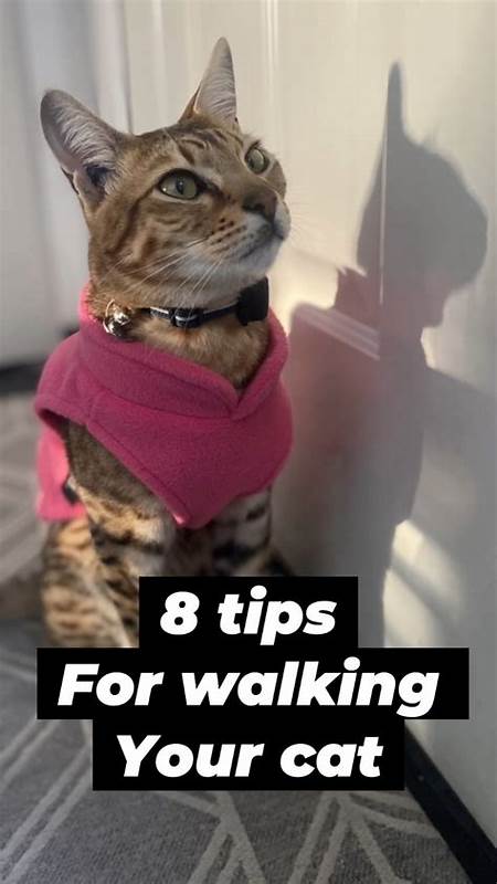 Never employ a cat. They are 'unreliable, capricious and liable to absenteeism'