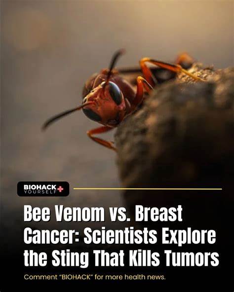 Honeybee venom kills breast cancer cells (2020)