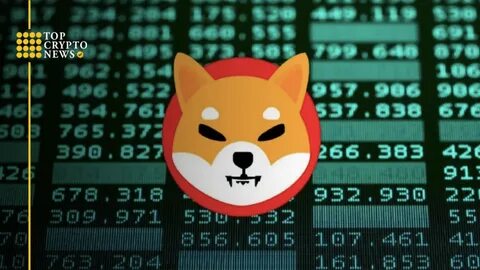 Crypto Today: BNB, OKB, BGB tokens gain $1.9 billion as BTC price, Shiba Inu and Chainlink lead market rebound - FXStreet