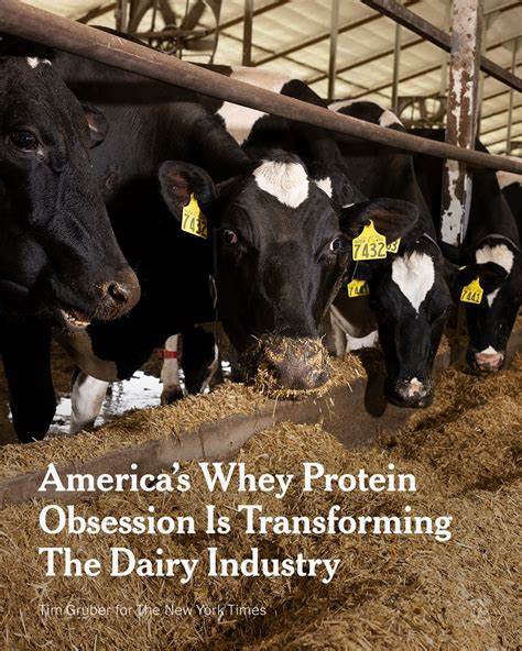 America's Protein Obsession Is Transforming the Dairy Industry