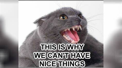 Can't We Have Nice Things?