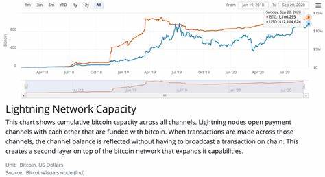 Bitcoin Lightning Network growth slows down – What’s happening?
