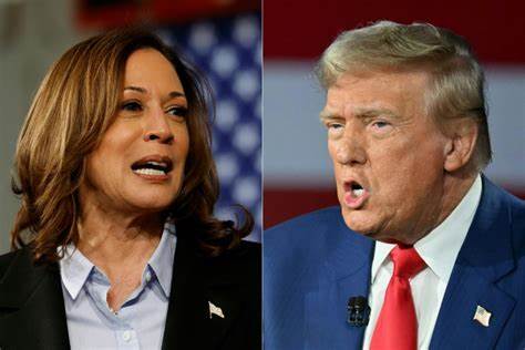 Trump Leads Harris on Polymarket After Musk Endorsement, but Trails in This Key State - CoinDesk