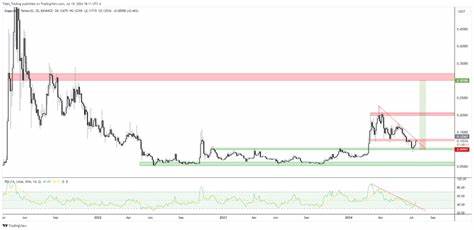 Analysts Predict Major Dogecoin Rally to $0.30: What to Expect - Crypto News Flash