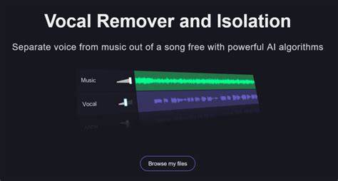 Vocal Remover and Isolation [AI]