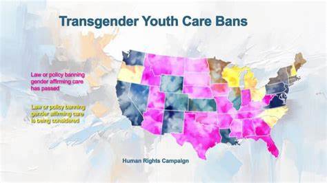 The Liberal Misinformation Bubble About Youth Gender Medicine