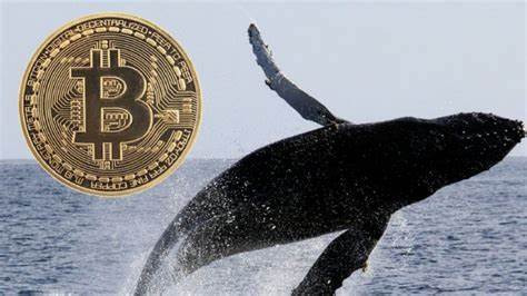 Bitcoin Whale Moves Nearly $8M After 10 Years of Inactivity