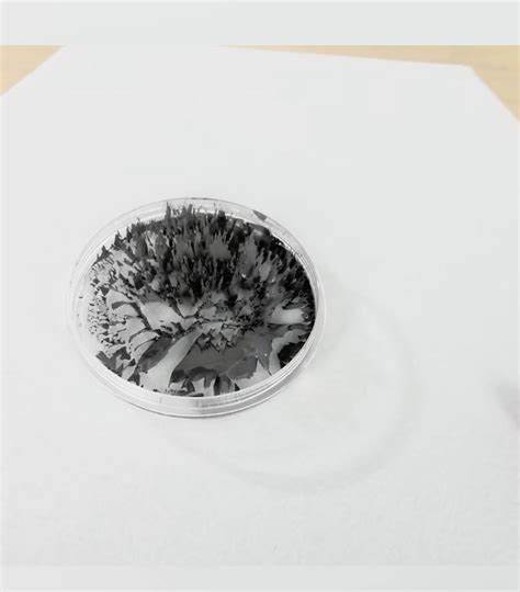 Liquid freezes around magnets [video]