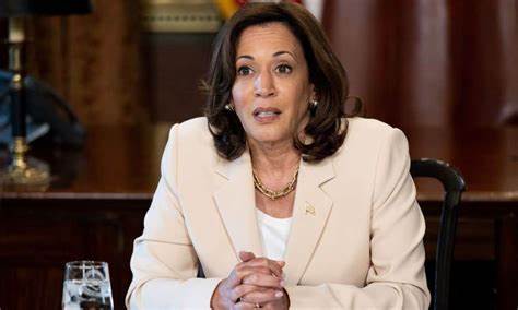 Market expert says the Kamala Harris-backed unrealized capital gains tax would be an 'unmitigated disaster'