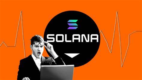 Meme Presale Panshibi Gains Major Solana & Pol (Ex-Matic) Investment As 100X Gains Targeted - Analytics Insight