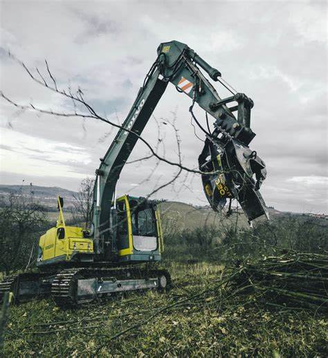 Borealis - AgriForest