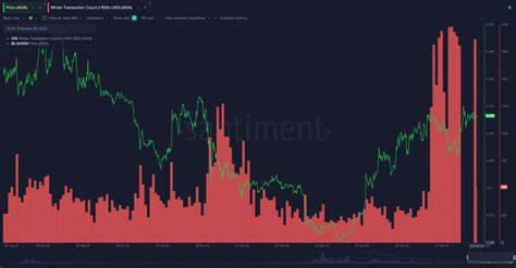 Cardano Jumps 12% In 7 Days: Why Is ADA Going Up? - Benzinga