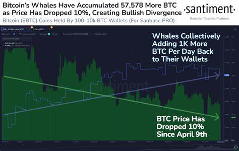 Bitcoin (BTC) - whales accumulate, but US Gov could sell. Up or down for price? - CryptoDaily