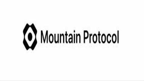 Yield-bearing stablecoin issuer Mountain Protocol raises $8 million in Series A round - The Block