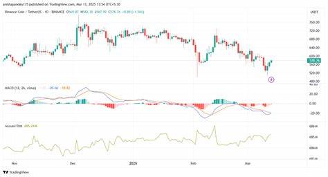 BNB Jumps 4.5% as Corporate Buyers, Developer Activity Fuel Rally