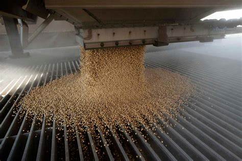 U.S. Farmers Face Steep Drop in China’s Soybean and Pork Buying