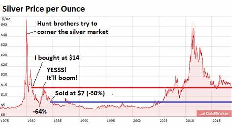 My Theory about Gold and Silver for Long-Term Investors - WOLF STREET