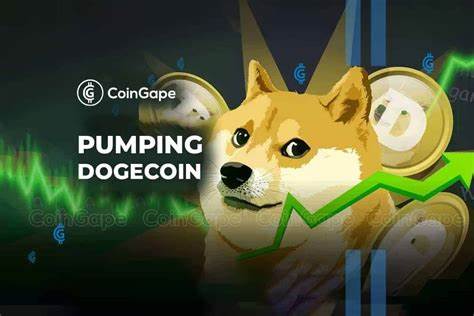 Dogecoin: Top Reasons Why Price is Pumping - CoinGape