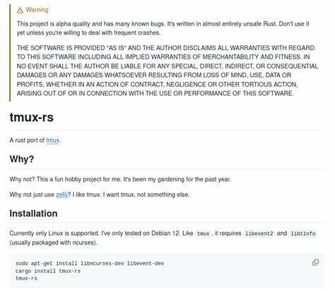 Introducing tmux-rs