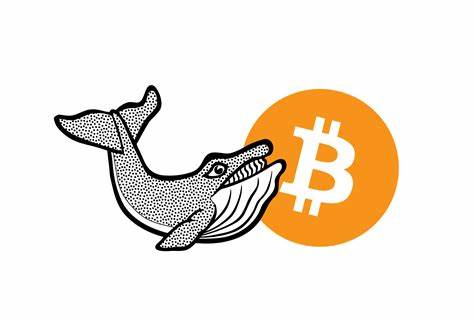 Bitcoin Whales Unmasked: Insights into Institutions and Individuals Shaping the BTC Market - Crypto News Flash