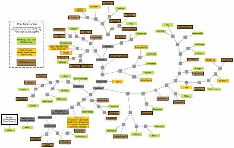 There's no such thing as a tree (phylogenetically) (2021)