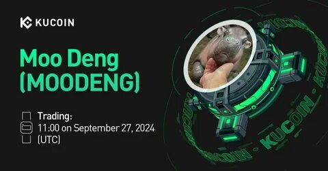 Breaking Moo Deng (MOODENG) Skyrockets 85% Minutes After Binance Futures Announce Listing - BeInCrypto