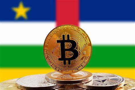 Central African Republic adopts bitcoin as legal currency - Forbes India