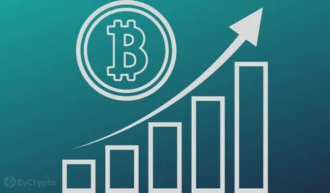 Bitcoin To $73,000? Crypto Trader Makes Shocking Projection as Fear Grows - ZyCrypto
